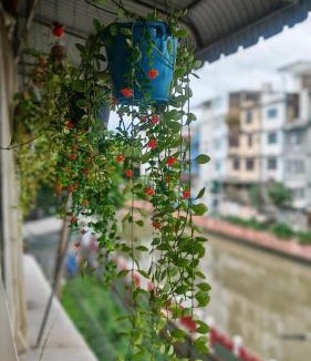 Ban Phan Thom Hostel | Baan Nampetch Hostel