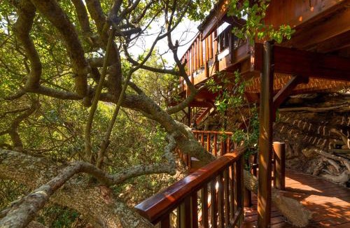 Victoria Bay House | Ballots Bay Treehouse