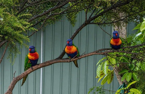 Batemans Bay Resort | Batemans Bay Holiday Park & Hostel