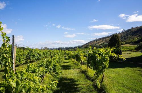 Lake George House | Baxter at Lake George Winery at Tiny Away