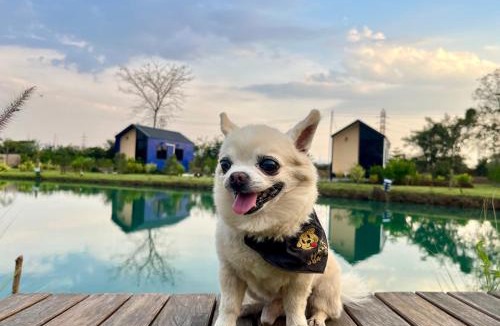 Nong Rua Resort | Bergen Resort Khon Kaen เบอร์เกน รีสอร์ท ขอนแก่น