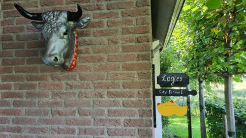 Amsterdam North Bed & Breakfast | Bikes and Breakfast, City Farmer Amsterdam a Guesthouse with Free Parking