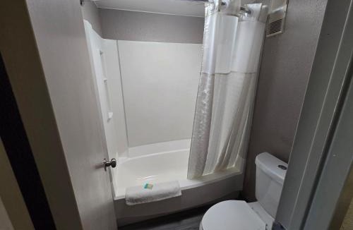 Violetville Hotel | Bloomfield Oasis