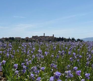 Castiglion Fibocchi Apartment | BORGO COMPAGNIA Porta Fredda