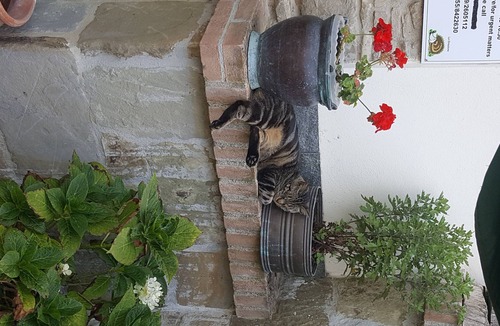 Barberino di Mugello Condo | Borgo la Fratta holiday home apartment 1