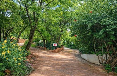 Rustenburg Bed & Breakfast | Bushwillows B&B