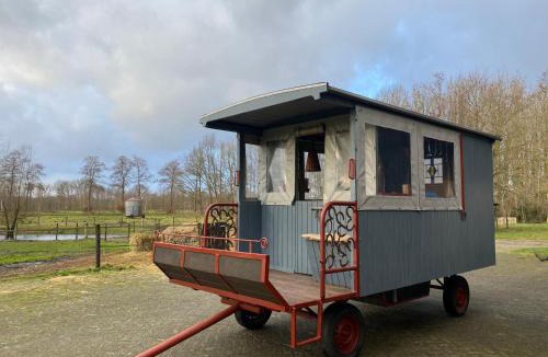 Spier Other | Camping de Bosrand