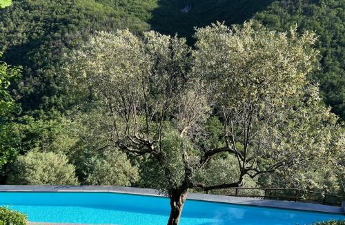 Colletta Apartment | Caprice Flat Sleeps 4 with Garden