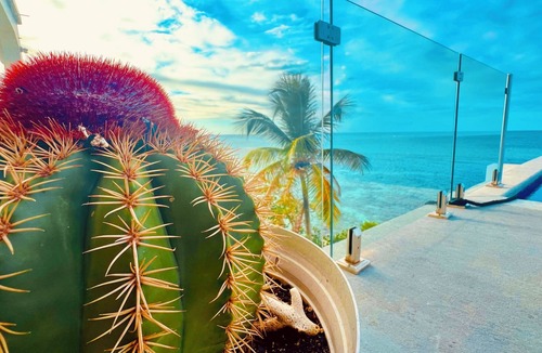Island Harbour Villa | Caribbean Rhapsody Oceanfront Villa with Amazing Snorkeling!