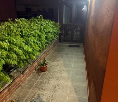 Il Romito Apartment | Casa Di Francia
