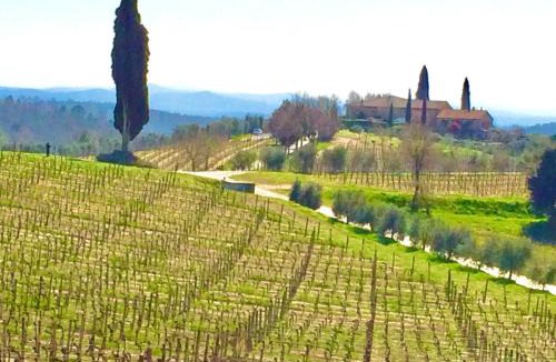 Castelnuovo Berardenga House | Casa Rossella, incantevole casa con piscina in Tenuta storica del Chianti
