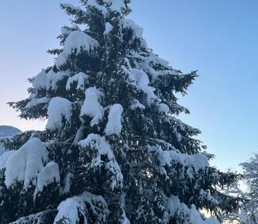 Beaufort Ski Chalet | Chalet la poipia