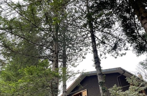 Chiesanuova Ski Chalet | Chalet Leonard House in the Woods Bike&Nature