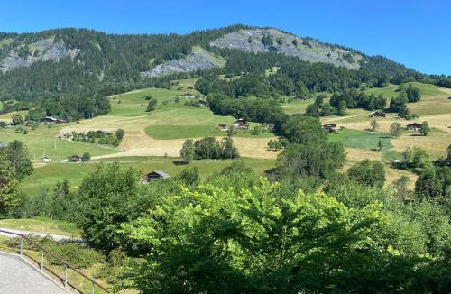Flumet Apartment | Chalets des Evettes- appartement vue montagne