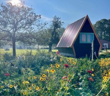 Hem Other | Charming cabin Avondgloed in farmer's orchard
