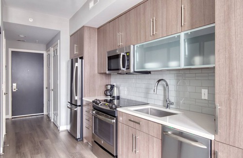 Buzzard Point Apartment | Chic Navy Yard 1BR w/W/D, Roof BBQ & Gym, near Nats Park, by Blueground