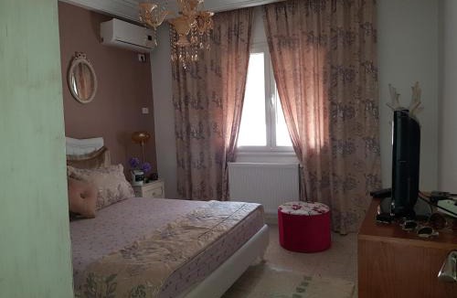 Mrezga Apartment | Confort house