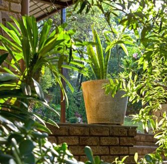 Krugersdorp House | Cosy Connect Guesthouse