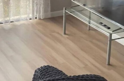 Arouca House | Cozy and convenient location. great for business and family stay..