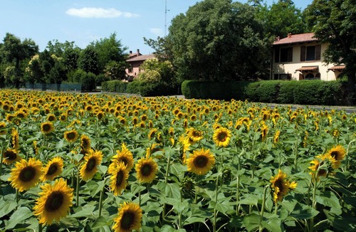 San Lazzaro di Savena Apartment | Cozy apartment in natural park, near Fair, FICO,Bellaria Hospital