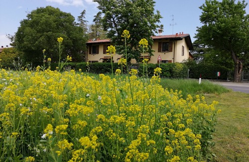 San Lazzaro di Savena Apartment | Cozy apartment in natural park, near Fair, FICO,Bellaria Hospital