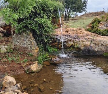 Johannesburg Apartment | CradleLicious Farm Mpshe cottage