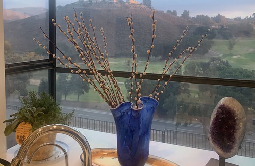Thousand Oaks House | Dream Home with Golf Course View and Hot Tub