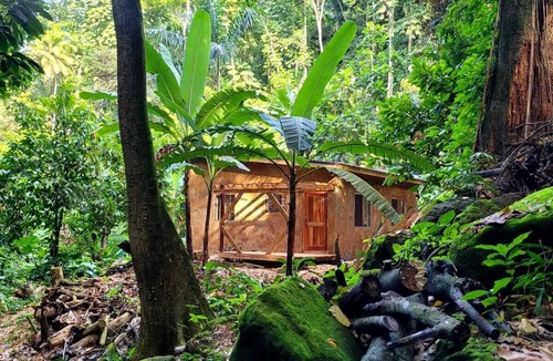 Mammee Bay Cottage | Ecoscape Tulia - Private Nature Escape - 1 Bedroom, 30 minutes to Ocho Rios