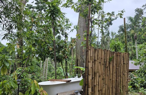Mammee Bay Cottage | Ecoscape Tulia - Private Nature Escape - 1 Bedroom, 30 minutes to Ocho Rios