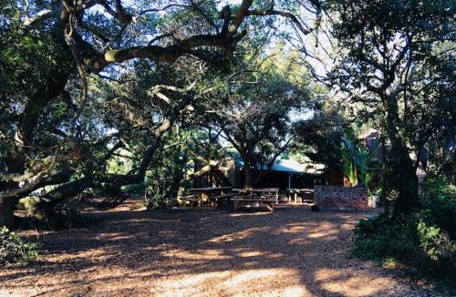 Wilderness Hostel | Fairy Knowe Backpackers Lodge