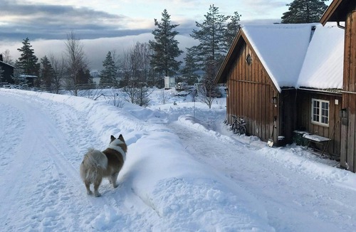 Hurdal Municipality House | Family estate with lake view near Oslo