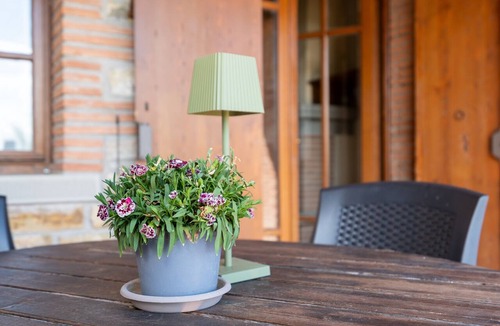 Pieve Santo Stefano Apartment | Farfalle e Fiori – Agriturismo with Experiences, Breakfast Included - Le Ceregne Bio
