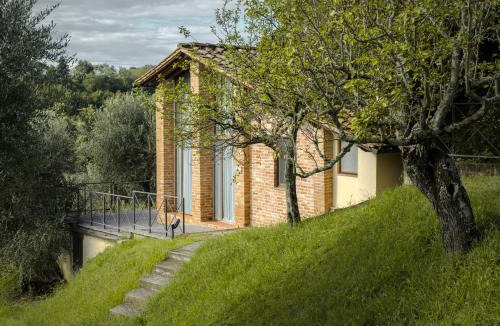 Colleoli House | Fattoria di Colleoli