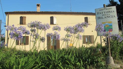 San Giovanni In Marignano House | FATTORIA DELLA BILANCIA