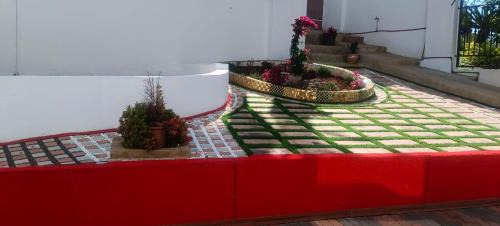 Greater Johannesburg Metropolitan Area House | Firebush Lifestyle