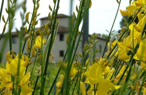 Pontassieve Apartment | Florence Winery Country Apartments - Fattoria Lavacchio