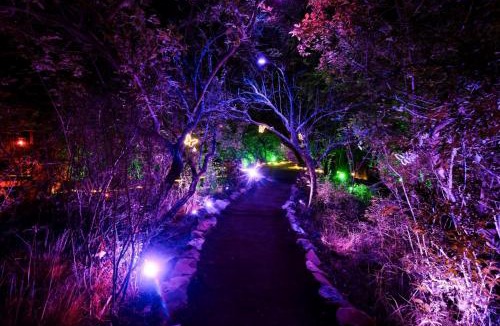 Protea Ridge Hotel | Forum Homini Boutique Hotel