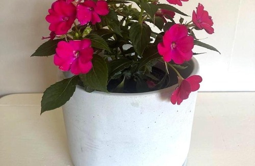 Karoo Hoogland Apartment | Garden Joy