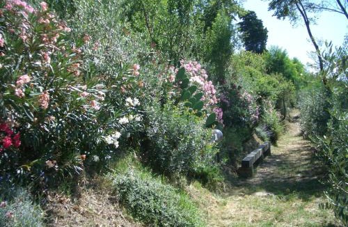 Castelfiorentino House | Gli Oleandri