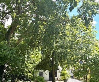 Hem House | Goditi La Vita