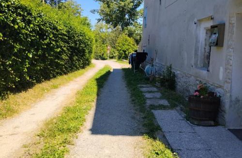 Montebabbio Apartment | Golden horses