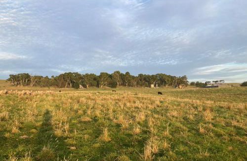 Mount Fairy Apartment | Hayshed Cabins - Merigan Farm Stay