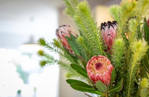 Paarl Cabin | HEIDI'S ALM Retreat and Cottage
