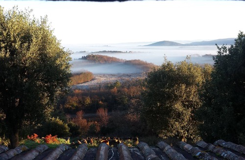 Casole d'Elsa Apartment | HILLTOP APARTMENT WITH GREAT WIEW BETWEEN SIENA AND VOLTERRA
