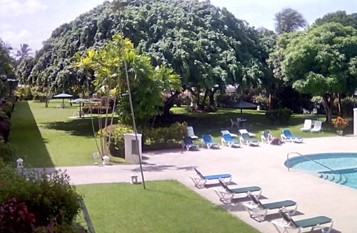 Sunset Crest Apartment | Holetown, West Coast Apartment, Barbados Sleeps 2 211 Golden View