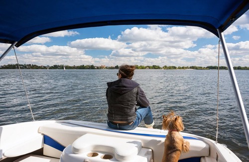 Opperdoes House | Holiday Home in Medemblik with Private Sauna