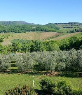 Radda in Chianti Apartment | Holiday House Le Selvole