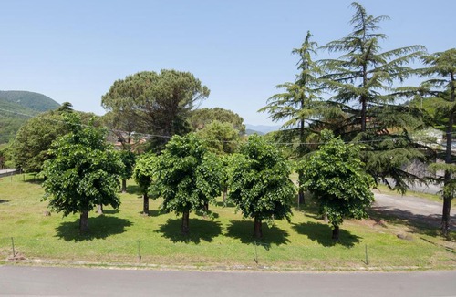 La Foce Hotel | Hotel Nella