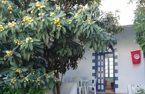 La Marsa House | House / Villa - LA MARSA-House with character and little garden