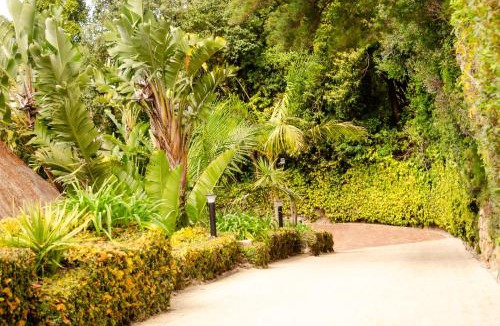 Constantia Cabin | Ikhaya Safari Lodge